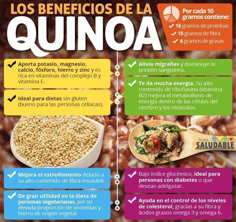 infografía sobre la importancia de la quinua Brainly lat