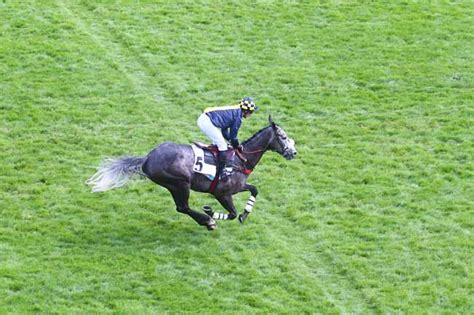 La Photo De L Arriv E Du Prix Rmc Prix Tanerko Course Pmu Du Dimanche