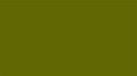 Mud Green Solid Color Background Image | Free Image Generator