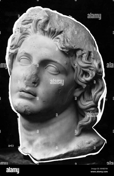 Head Of Alexander The Great 356 Bc 323 Bc King Of Macedon 336 323 Bc