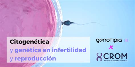 “citogenética Y Genética En Infertilidad Y Reproducción” Nuevo Curso En Genotipia