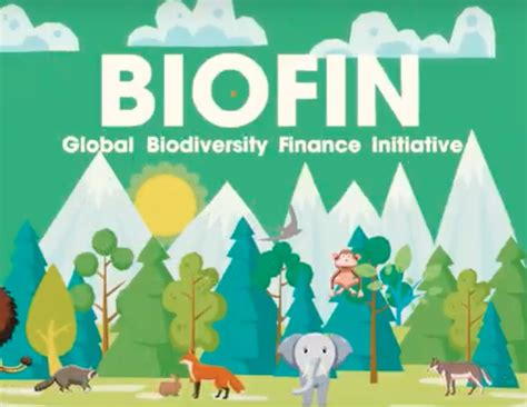 Video On Biodiversity Finance For A Sustainable Future In Viet Nam — Conservation Finance Alliance