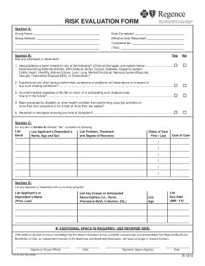 Fillable Online Risk Evaluation Form Insure Pro Fax Email Print