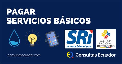 Servicios Consultas Ecuador