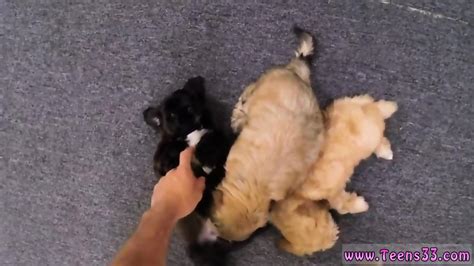 Big Natural Uk And Tits Puppy Love
