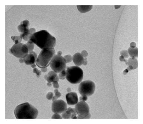 Typical Tem Micrographs Of Cuo Nanoparticles Download Scientific Diagram