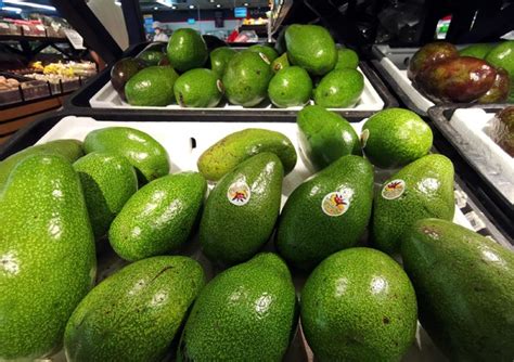 Macfrut 2020 aprirà nel segno dell avocado frutto dei record Fiere