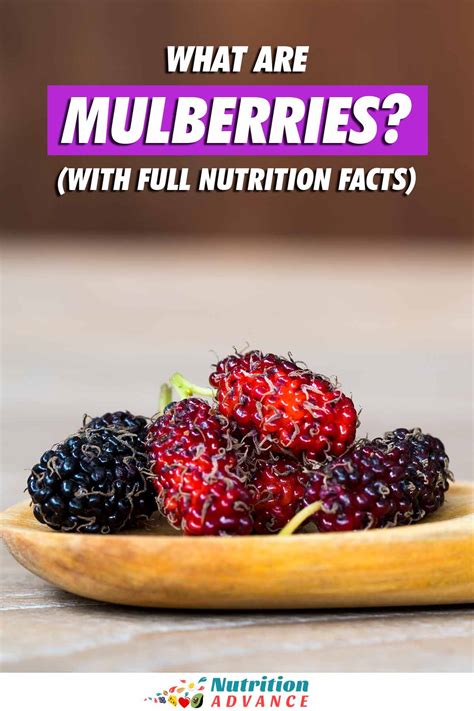 Mulberry Fruit Nutrition Facts And Health Benefits Nutrition Advance