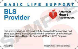 Orlando BLS ACLS PALS Review Renew ACLS