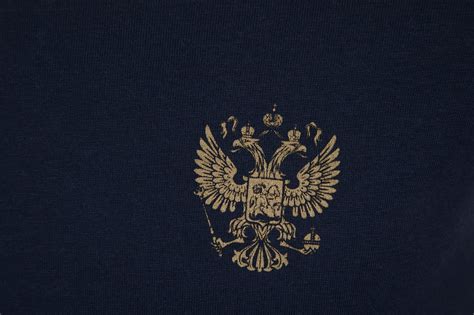 Герб рф на черном фоне - фото и картинки abrakadabra.fun