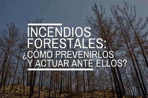 Incendios Forestales ¿cómo Prevenirlos Y Actuar Ante Ellos La Voz De