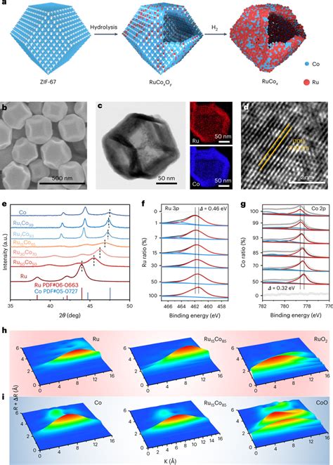 Structural Characterization Of Ruxcoyoz And Ruxcoy Hnds A Schematic Of