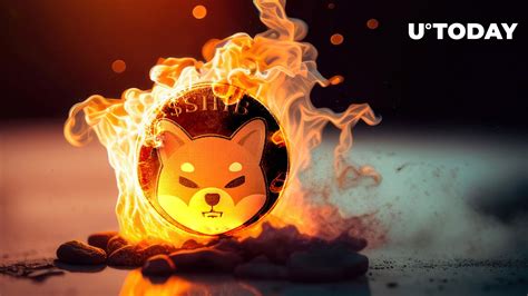 Shiba Inu (SHIB) Weekly Burn Drops to Lowest in Months, Hype Fading?