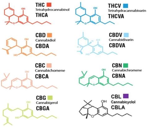 Molecules Free Full Text It Is Our Turn To Get Cannabis High Put Cannabinoids In Food And