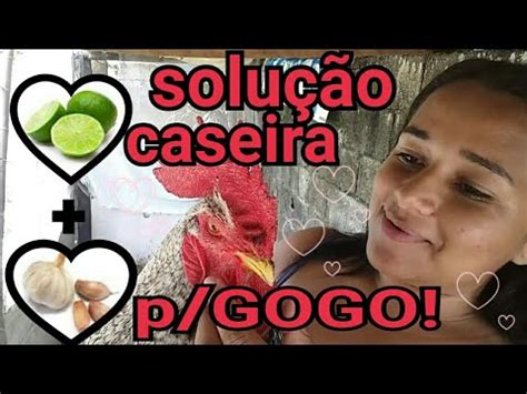 Como Curar Gogo Nas Galinhas E Prevenir De Forma Caseira