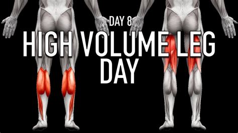 High Volume Leg Day Day 8 Training Youtube