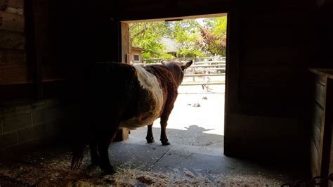 Bergen County Zoo - Farm - ZooChat