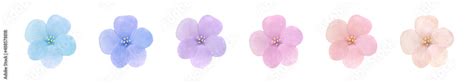 パステルカラーの花の水彩イラスト Stock Illustration Adobe Stock