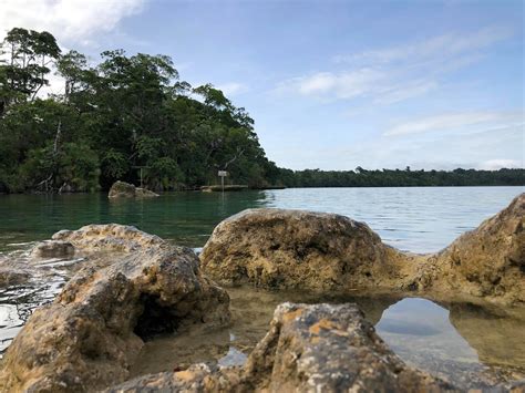 Backpackers Guatemala - Home