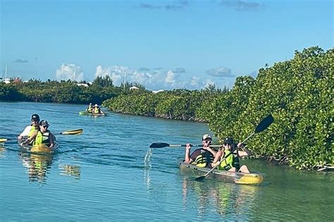 Clear Kayak Mangrove Tour In Turks And Caicos 2024 Providenciales