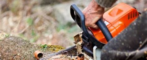 Affordable Tree Removal Powhatan Midlothian Richmond Chesterfield