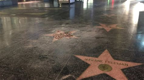 Destruyen La Estrella De Donald Trump En El Paseo De La Fama De