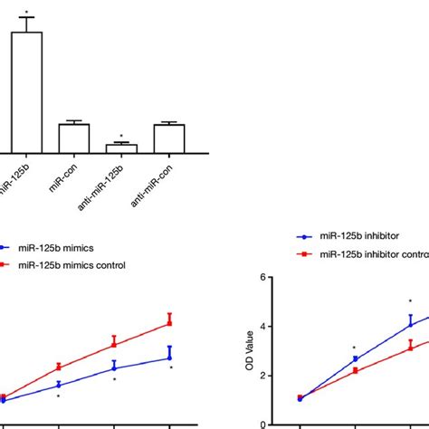 Cell Growth Curve Of ESCC Cells A Relative Appearance Of MiR 125b In