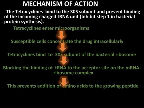 Tetracyclines Ppt Download