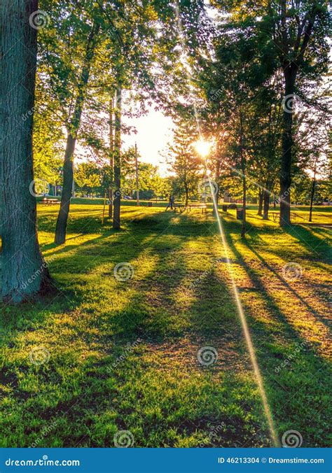 Sunny Day Stock Photo Image Of Park Grass Beautiful 46213304