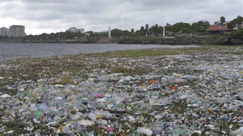 Senado Aprueba Ley Obliga A Usar Pl Sticos Biodegradables Diario Libre