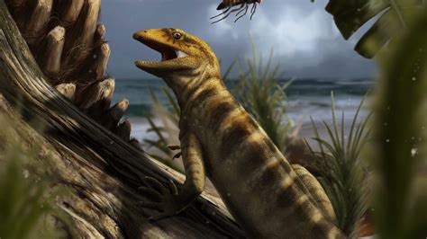 Scientist Have Found The Fossil Of 240 Million Year Old Lizard Which