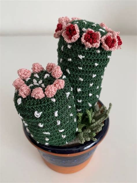 Spiegazione Della Mammillaria All Uncinetto Crochet Cactus Crochet