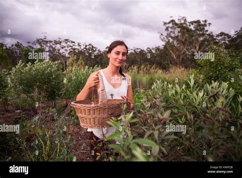 Woman Harvesting Fresh Fruit And Vegetables In Permaculture Garden Food