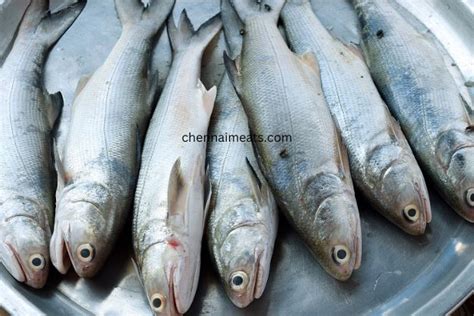 Buy Indian Salmon Kaala Fish Boneless Cubes Online Chennai Meats