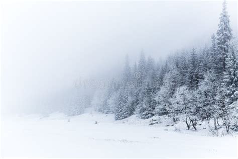 Snow Falling On Sky With Cloud For Winter Season And Christmas