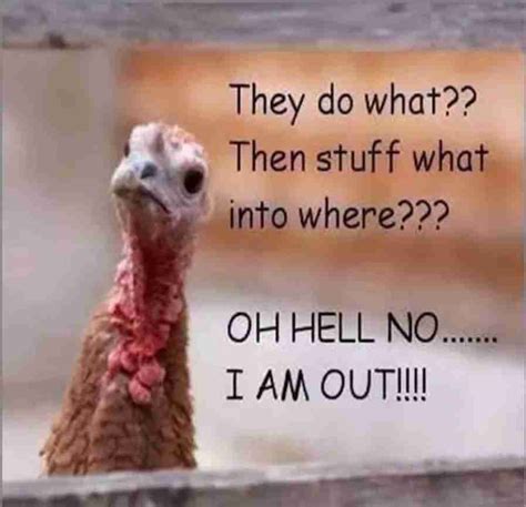 40 Funny Happy Thanksgiving Day Memes 2020 Guide For Moms