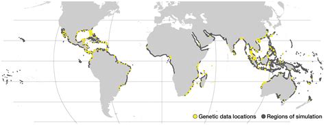 Mangrove Swamps Map
