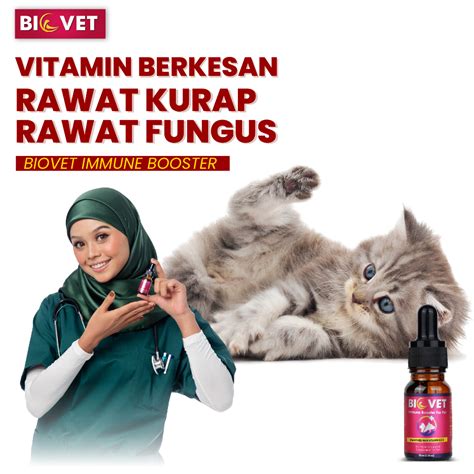 Biovet Immun Booster Original Hq Ubat Cacing Kucing Biovet Immune