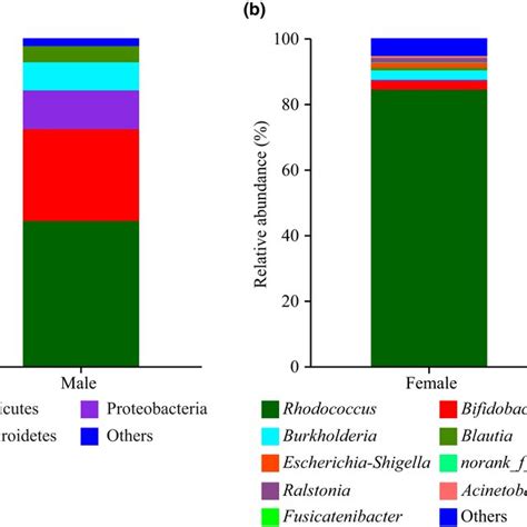 Gut Bacterial Compositions At The Level Of Phylum A And Genus B Download Scientific Diagram