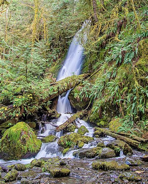 Waterfalls Of The Olympic Peninsula 11 — Kaylin Burnett Photography