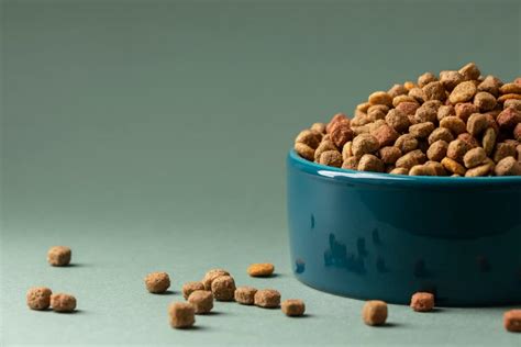 What To Look For When Buying Dog Food For German Shepherds German