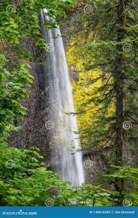 View Of A Beautiful Waterfall Flowing Down A Mossy Cliff Set In A Lush