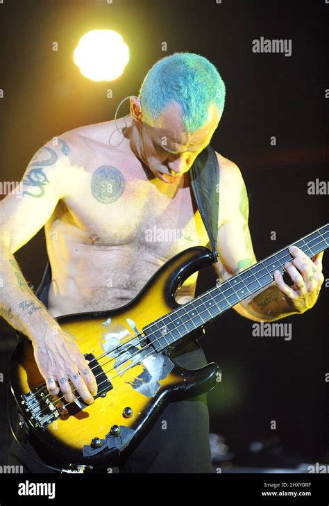 Flea Balzary Of The Red Hot Chili Peppers During Their Tour At The