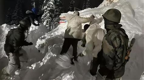 印媒：7名在藏南地區遭遇雪崩的印度士兵已被確認全部死亡 每日頭條