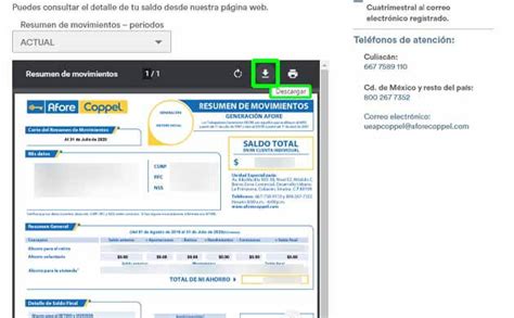 Cómo consultar mi estado de cuenta de mi Afore Coppel Remender México