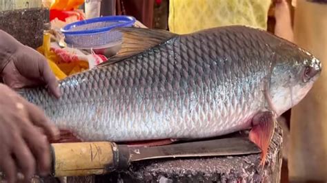 Amazing Big Size Rohu Fish Cutting Skills In Bangladesh Fish Market