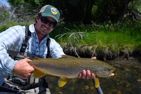 July 2019 Montana Fly Fishing Forecast Montana Angling Company