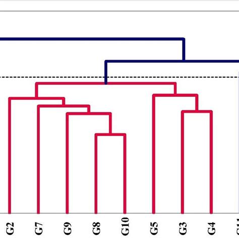 Illustration Of Cluster Tree Design Using Upgma Based On Ten Markers