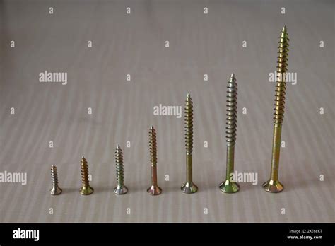 Chipboard screws, wood screws, Torx, various sizes, one set of screws Stock Photo - Alamy