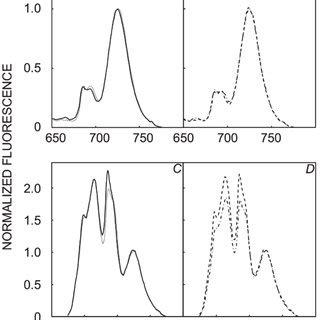 Low Temperature K Fluorescence Emission Spectra Following